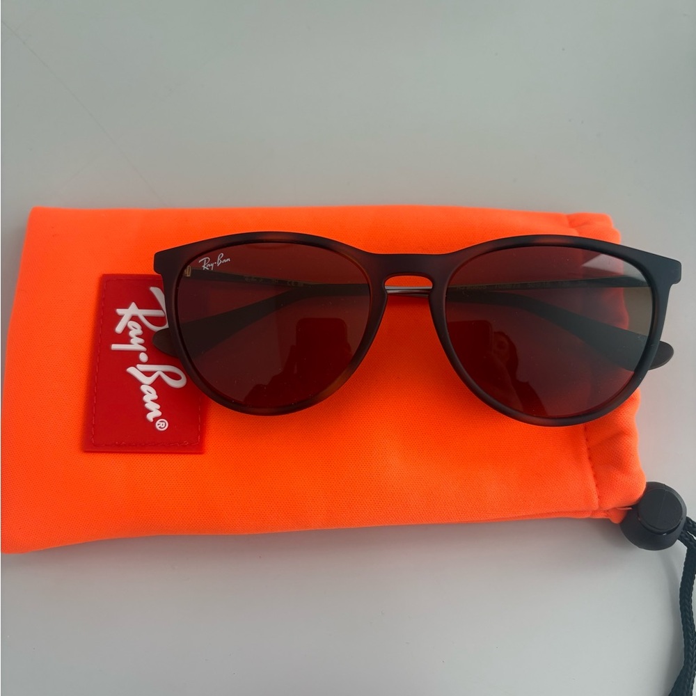 Ray Ban Erika Sunglasses